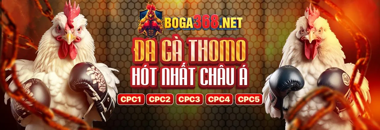 Đá gà trực tuyến dagathommo