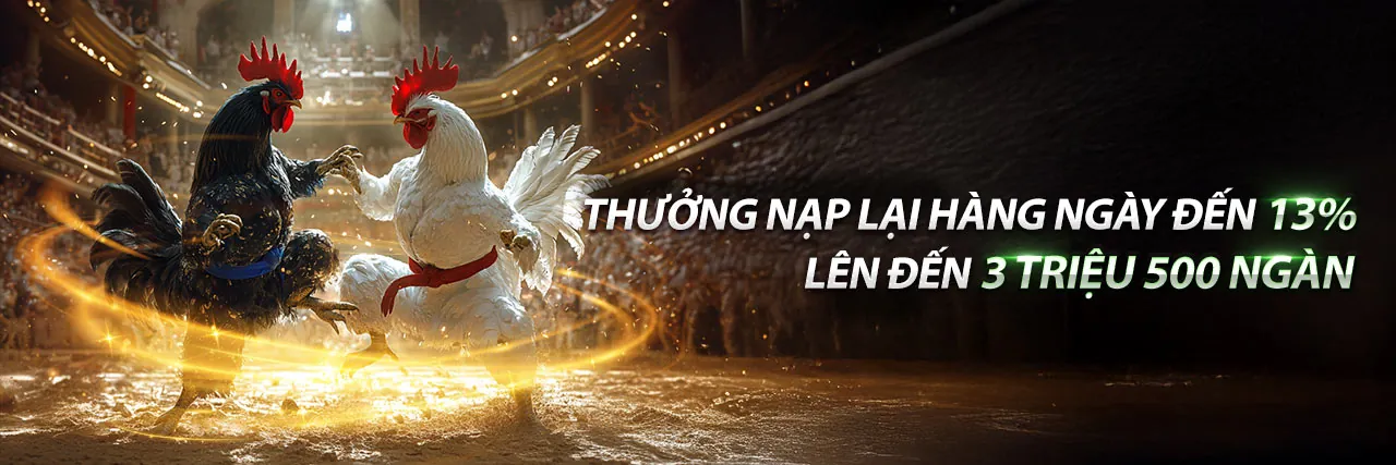 Blog dagathommo: Nền tảng giải trí trực tuyến hàng đầu
